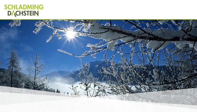 Hotel Vitaler Landauerhof Schladming Exteriér fotografie